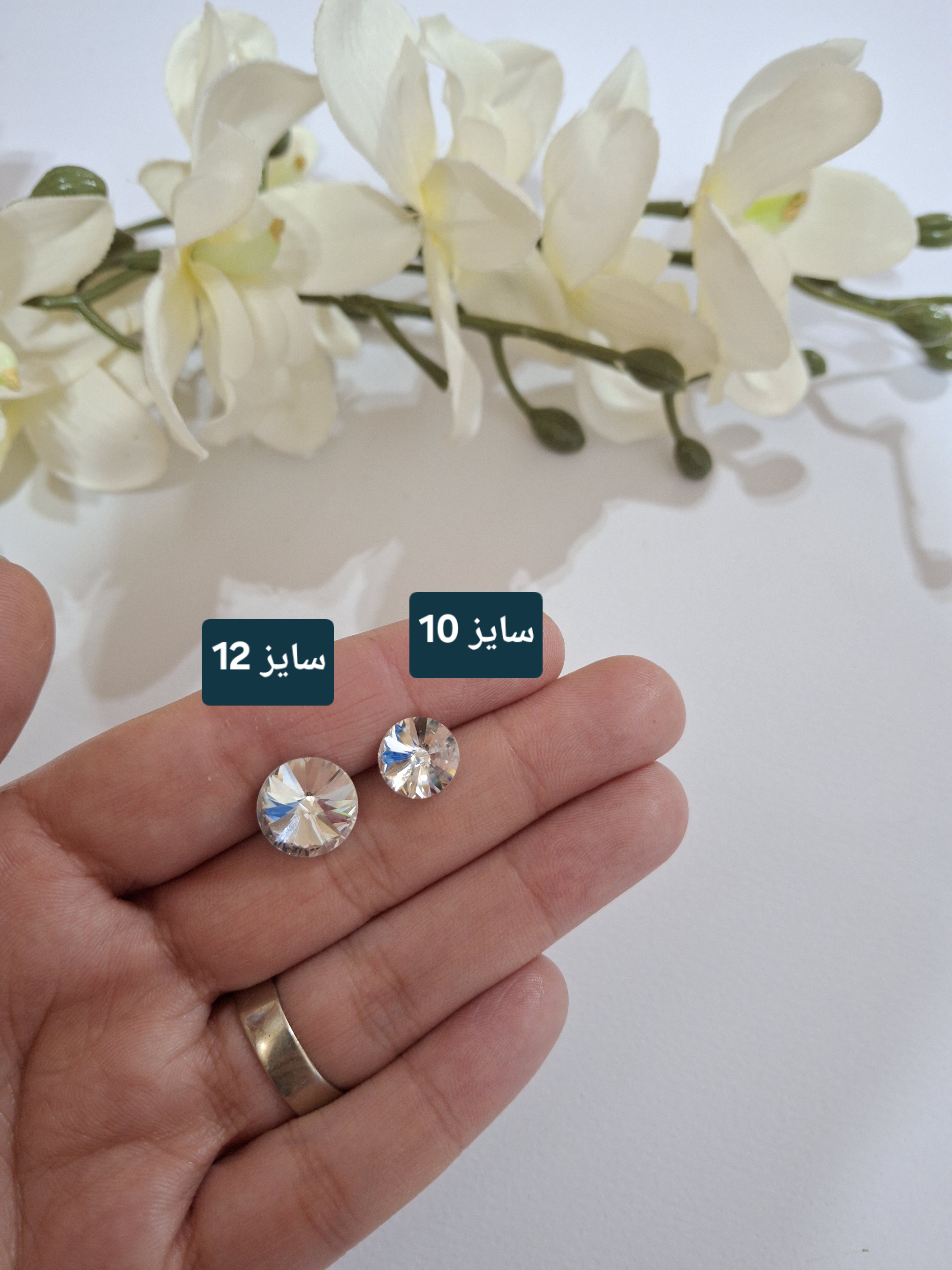 سنگ ریولی(چتری) نقره ای
