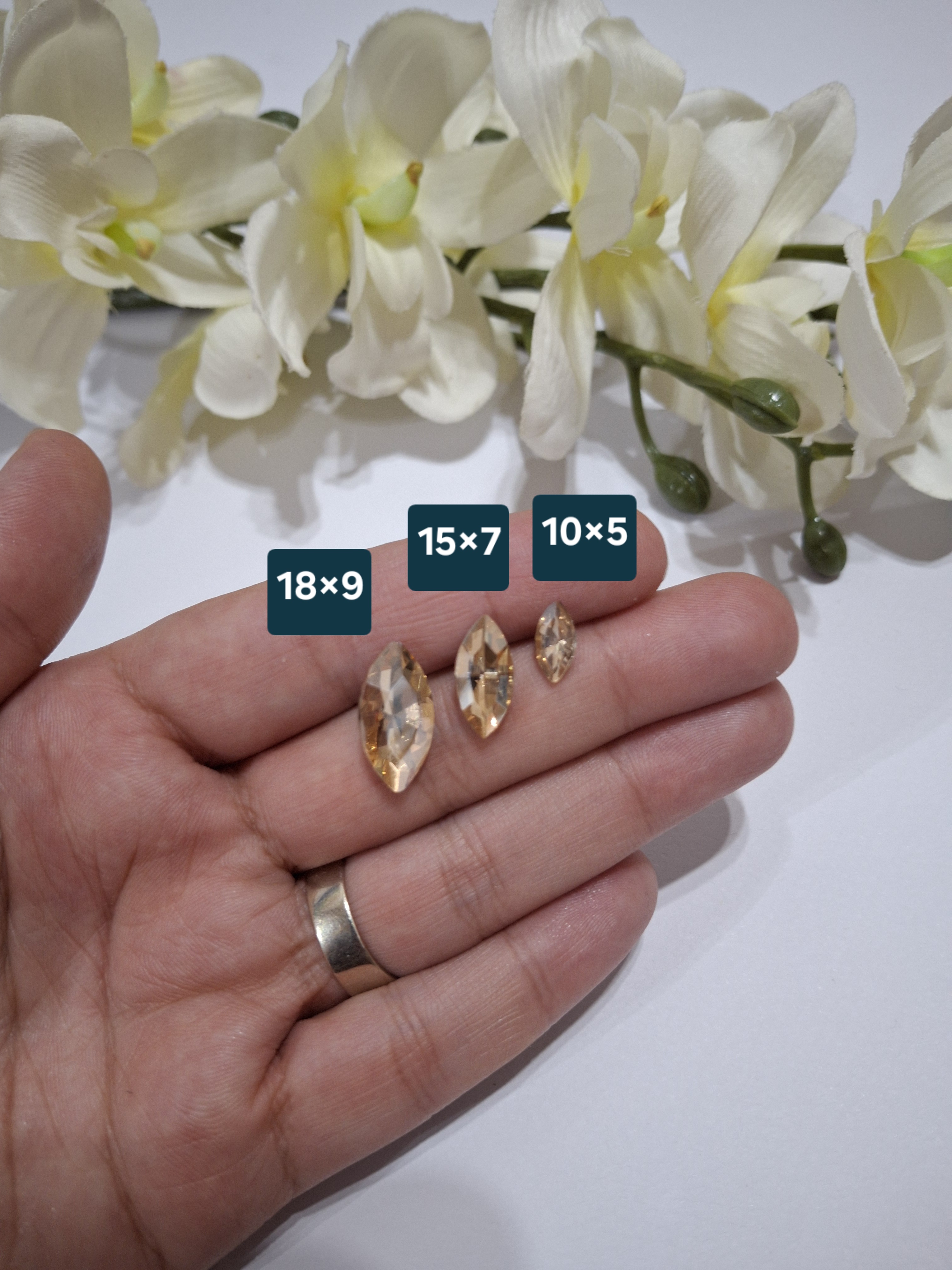 سنگ مارکیز شامپاینی