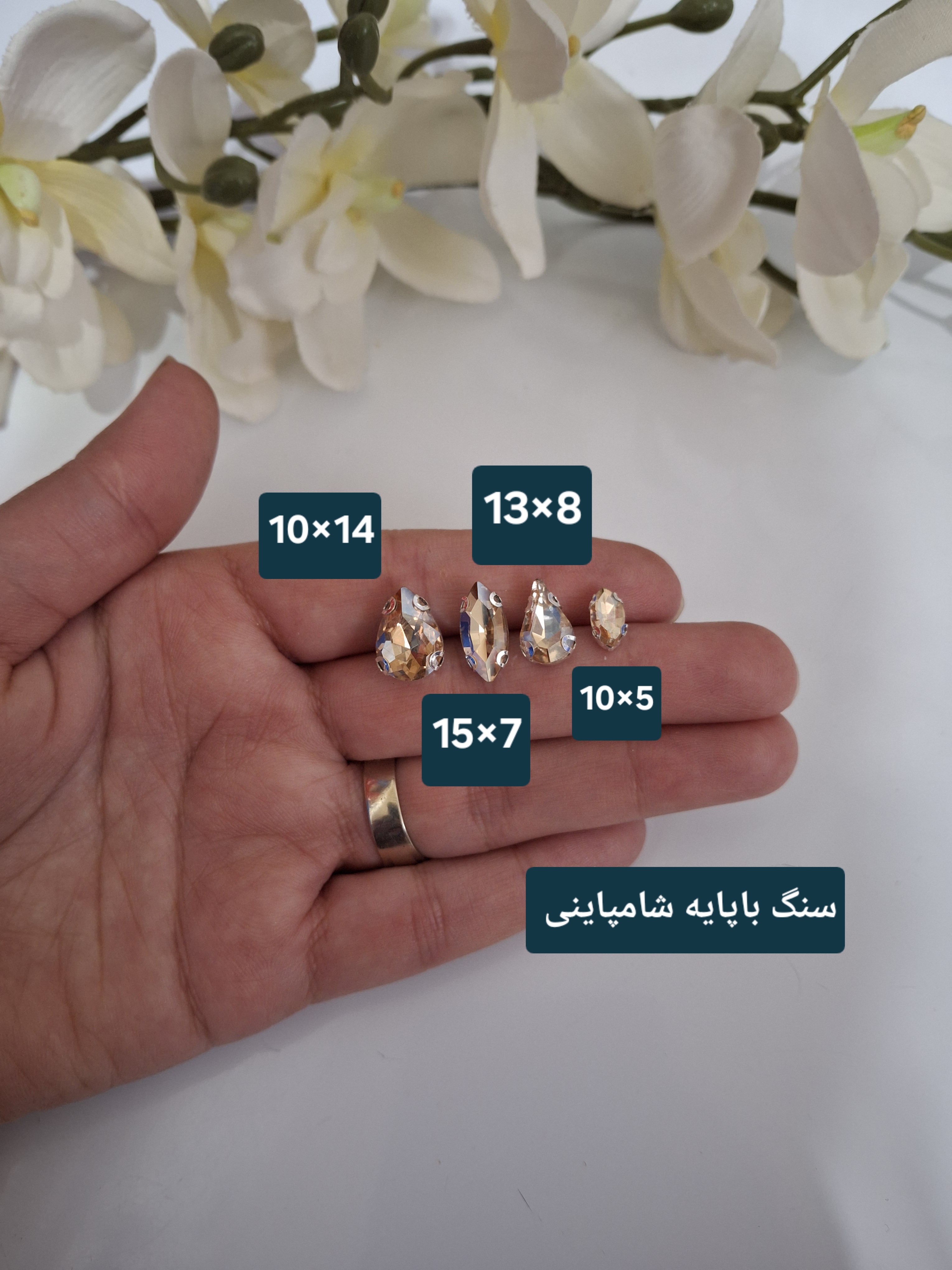 سنگ با پایه  شامپاینی