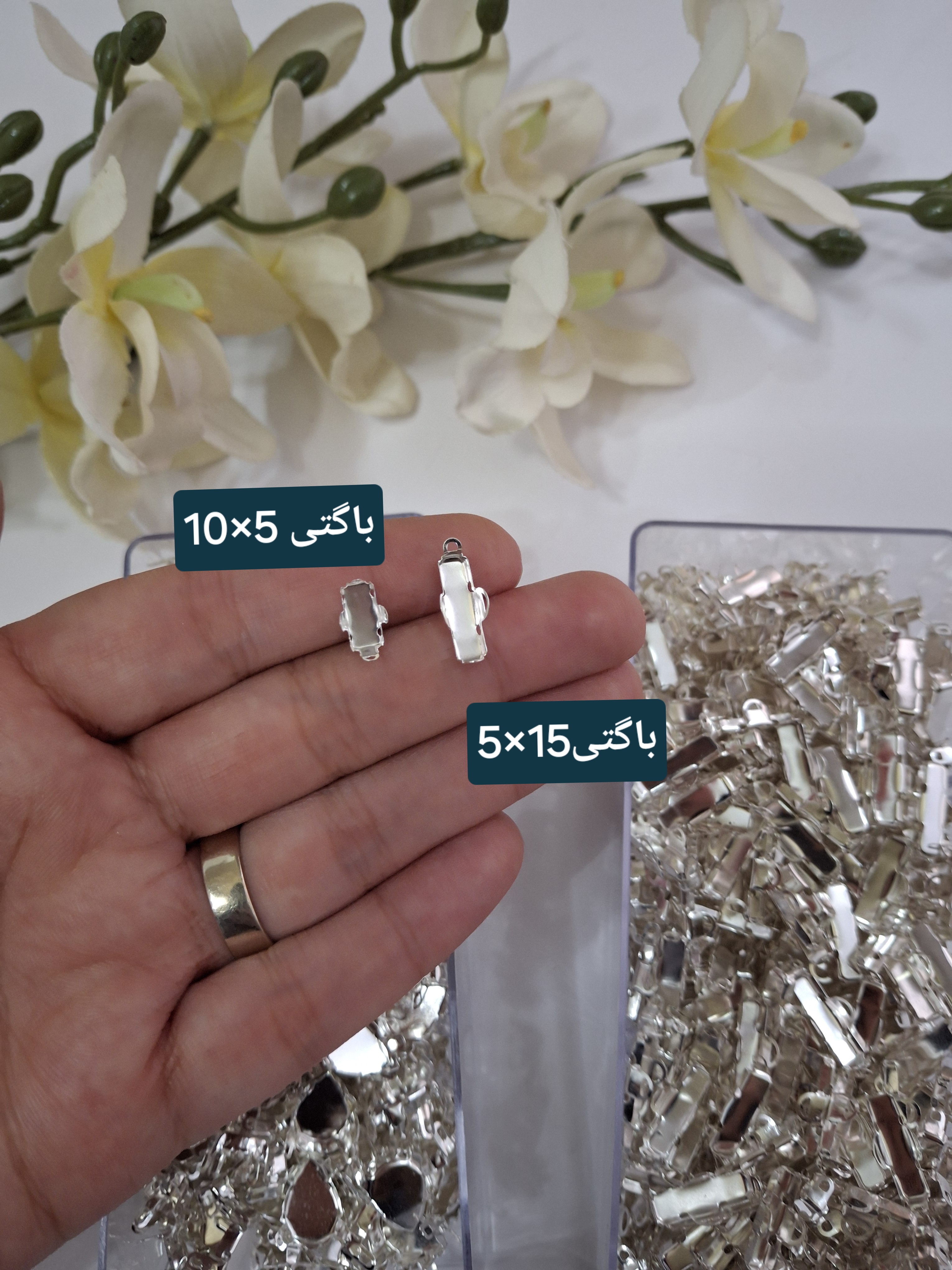 پوکه باگتی